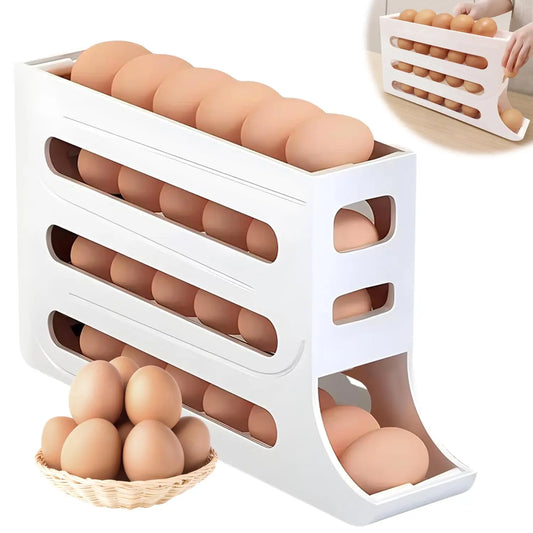 ORGANIZADOR DE HUEVOS