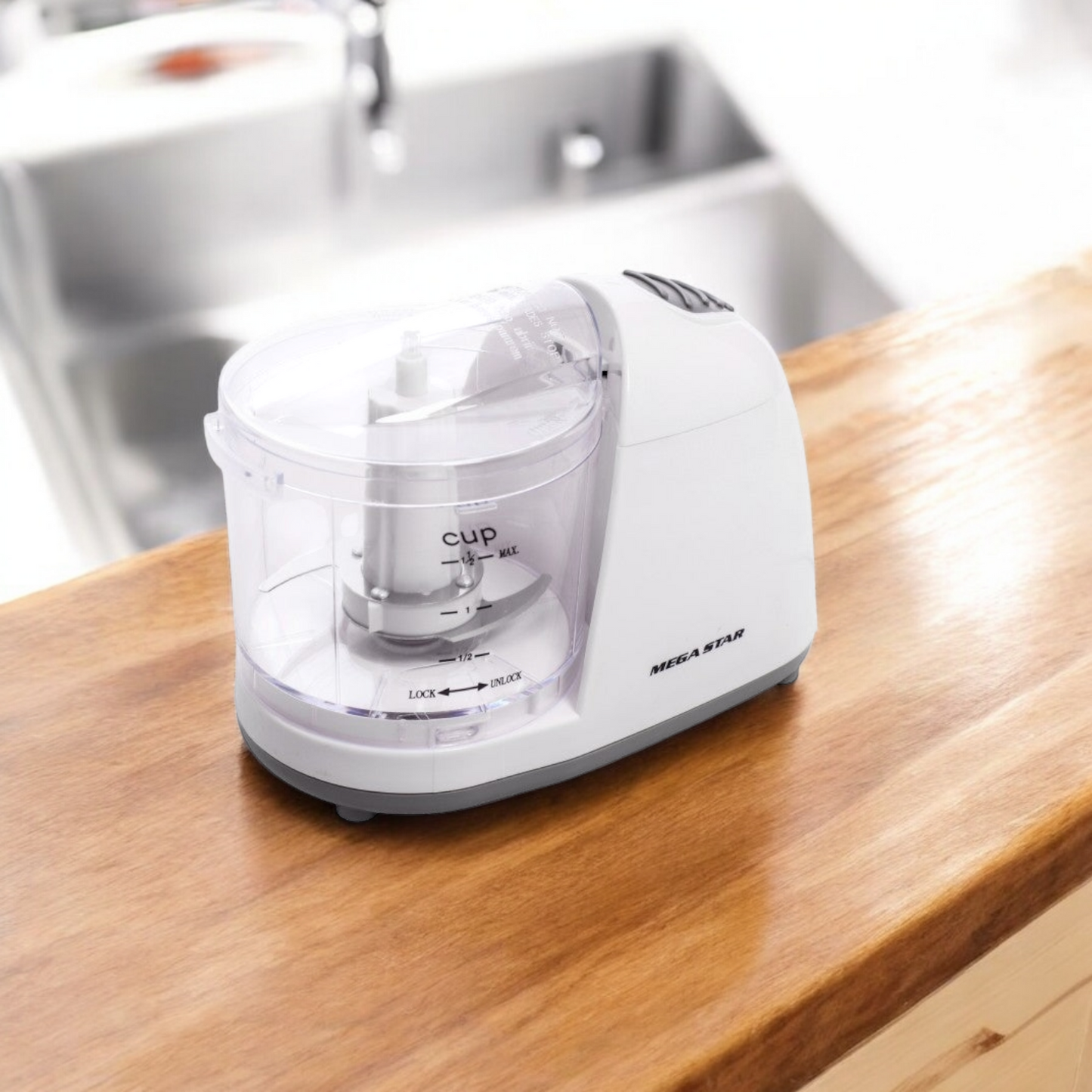 MINI PROCESADORA MEGASTAR